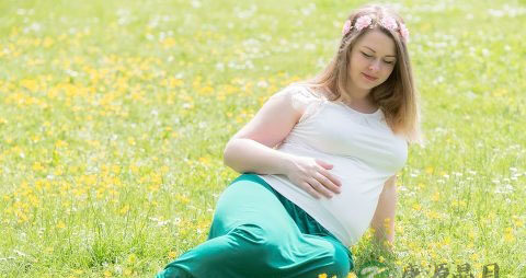 孕28周胎儿发育情况 孕28周胎儿发育情况