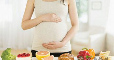 孕中期的食谱 孕中期的食谱