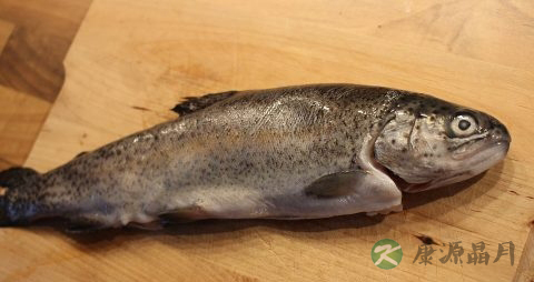 宝宝补钙的食物有哪些 宝宝补钙的食物有哪些