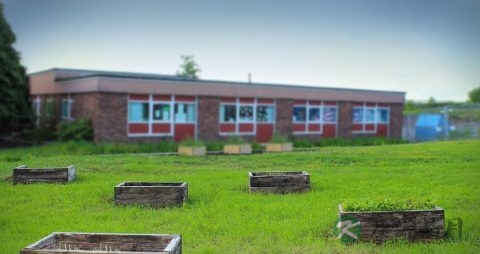 学校怎么教育孩子 学校怎么教育孩子