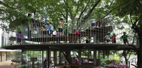 日本超酷炫幼儿园 在玩耍跌倒中学会生活 日本超酷炫幼儿园 在玩耍跌倒中学会生活