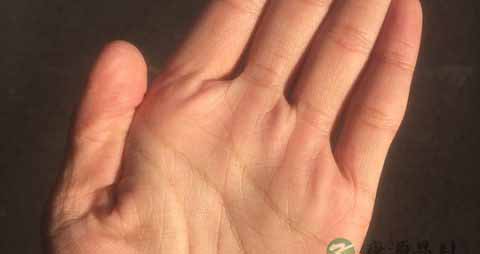 信算命是什么心理学 信算命是什么心理学