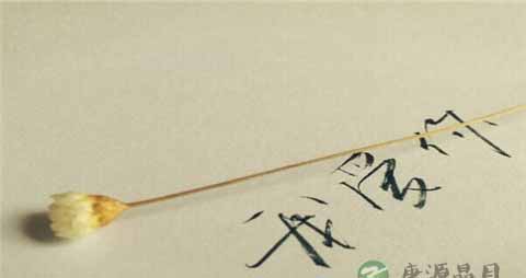 女生告白被拒绝了该怎么办 女生告白被拒绝了该怎么办