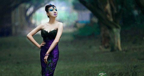 什么是凤凰男和孔雀女 什么是凤凰男和孔雀女
