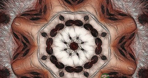 幻听幻觉吃什么药最好 幻听幻觉吃什么药最好