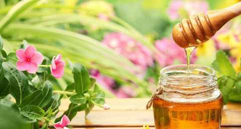 早晨用蜂蜜洗脸正确方法 早晨用蜂蜜洗脸正确方法