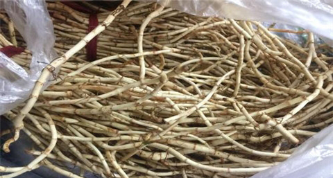 中药美白祛痘面膜 中药美白祛痘面膜