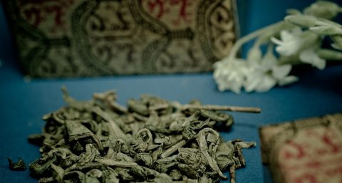 普洱茶可以减肥吗 普洱茶可以减肥吗