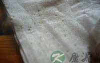 网友示范:小苏打的“扫黑”风暴 网友示范:小苏打的“扫黑”风暴