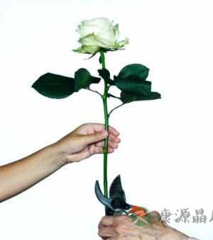 10个外貌细节是显老元凶 10个外貌细节是显老元凶