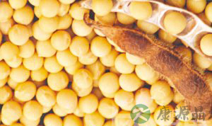 平民餐桌上可以吃到的抗皱食物 平民餐桌上可以吃到的抗皱食物