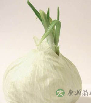 秋季补血七大食谱 不让衰老提前到 秋季补血七大食谱 不让衰老提前到