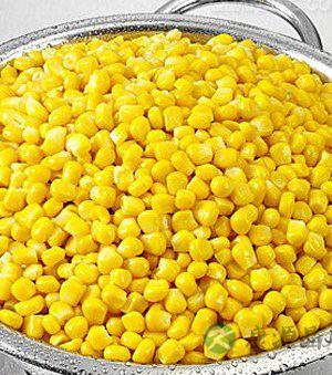 5大食物轻松帮你搞定皱纹 5大食物轻松帮你搞定皱纹