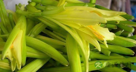 红菜头血糖高可以吃吗 红菜头血糖高可以吃吗