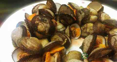 婴幼儿能吃毛蚶吗 婴幼儿能吃毛蚶吗