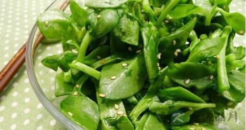 凉拌穿心莲用焯水吗 凉拌穿心莲用焯水吗