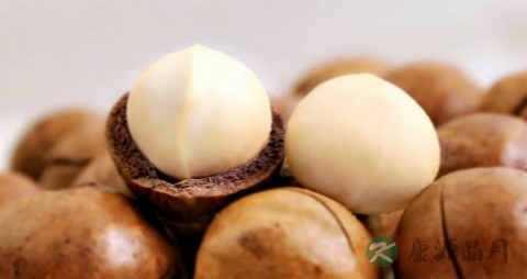 夏威夷果怎么开壳 夏威夷果怎么开壳