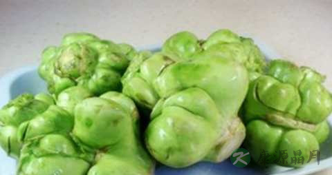 芥菜头可以做泡菜吗 芥菜头可以做泡菜吗