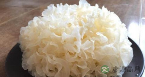 凉拌银耳必须焯水吗 凉拌银耳必须焯水吗