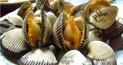 婴幼儿能吃毛蚶吗 婴幼儿能吃毛蚶吗