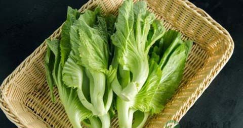 凉拌芥菜需要过水吗 凉拌芥菜需要过水吗