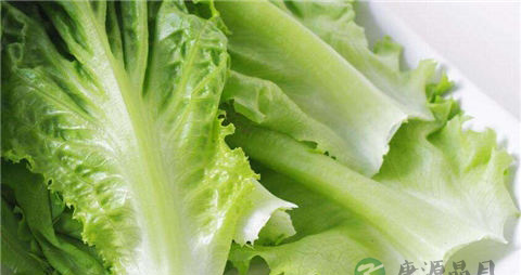 生菜生吃安全吗 生菜生吃安全吗