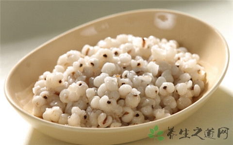 薏米煮之前要泡吗 薏米煮之前要泡吗
