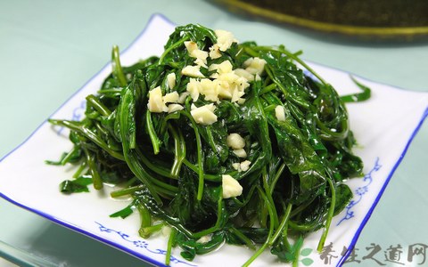 空心菜的吃法_哪些人不能吃空心菜 空心菜的吃法_哪些人不能吃空心菜