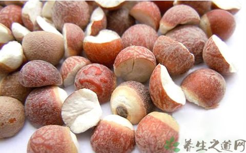 芡实的营养价值_吃芡实的好处 芡实的营养价值_吃芡实的好处