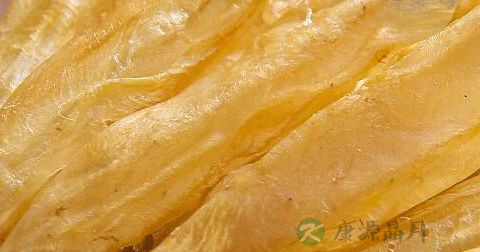 牛奶可以炖鱼胶吗 牛奶可以炖鱼胶吗