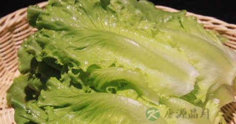 炒生菜为什么会苦 炒生菜为什么会苦