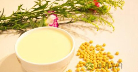 豆浆怎么做可以去腥味 豆浆怎么做可以去腥味
