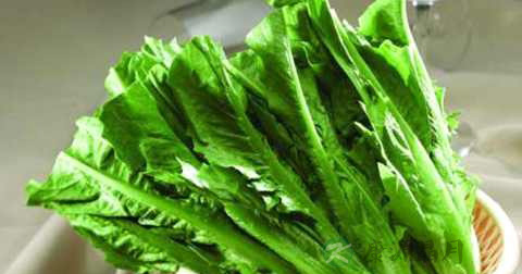 油麦菜和生菜一起炒吗 油麦菜和生菜一起炒吗
