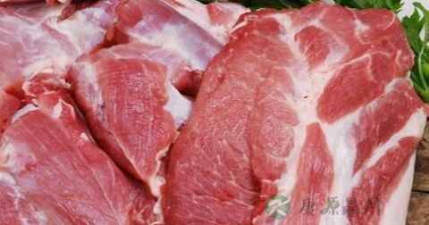 炖猪肉用凉水还是热水 炖猪肉用凉水还是热水