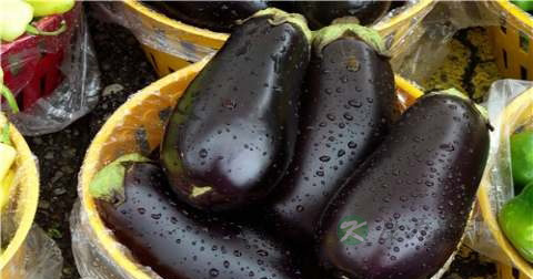 炒茄子要放多少油 炒茄子要放多少油