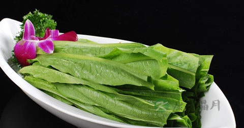 油麦菜和生菜可以一起炒吗 油麦菜和生菜可以一起炒吗