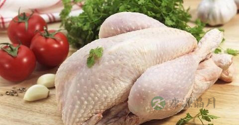 炒鸡肉要焯水吗 炒鸡肉要焯水吗