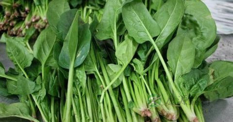 菠菜炒鸡蛋用什么油