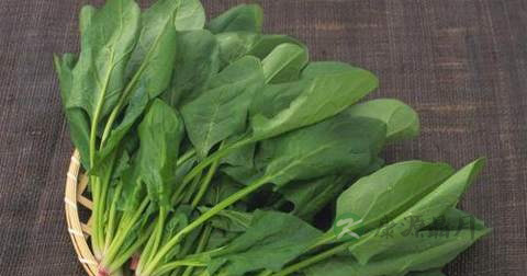 菠菜肉丸汤放多少水 菠菜肉丸汤放多少水