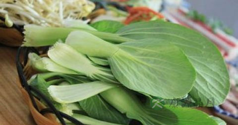 青菜炒肉丝用什么青菜 青菜炒肉丝用什么青菜