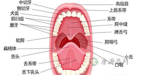 牙疼 牙疼