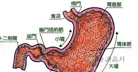 胃酸过多 胃酸过多