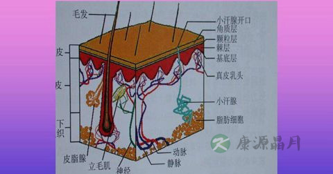 疖肿 疖肿