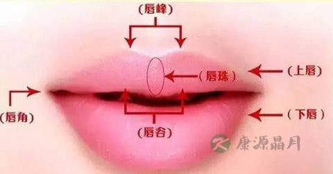 兔唇 兔唇