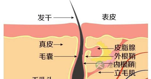 色素沉着 色素沉着