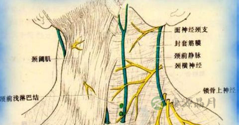 落枕 落枕