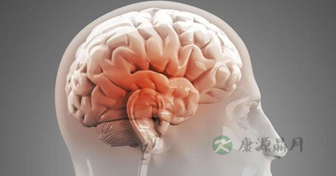 脑水肿 脑水肿
