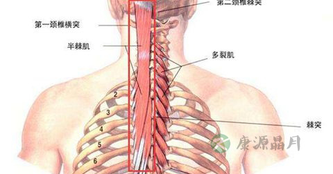小儿肺炎 小儿肺炎