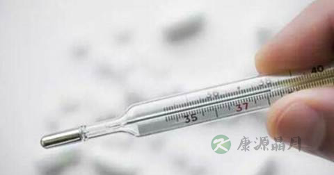 肛门体温计 肛门体温计