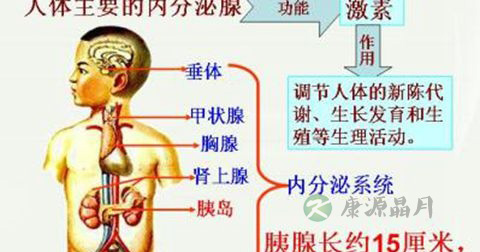 气滞血瘀 气滞血瘀